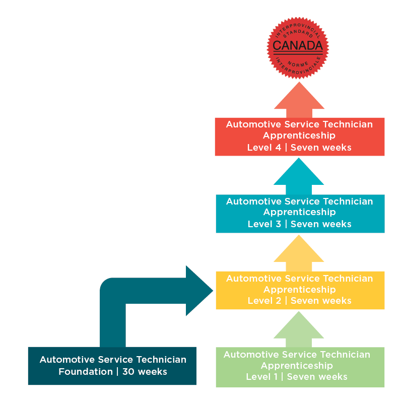 An image of a chart showing the pathways to becoming a Red Seal AST.