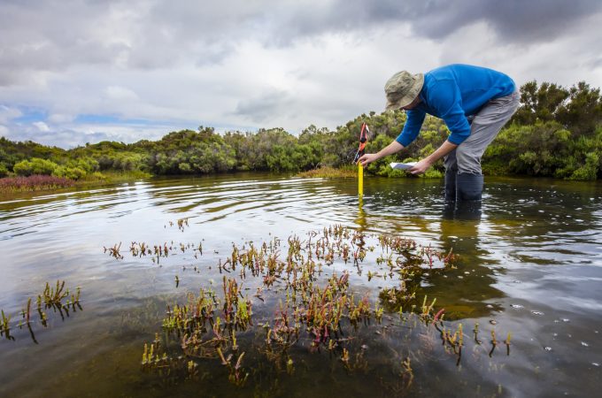Scientist measuring water depth to install water level data loggers in a coastal wetland to understand inundation period and impact on ecosystem services.
