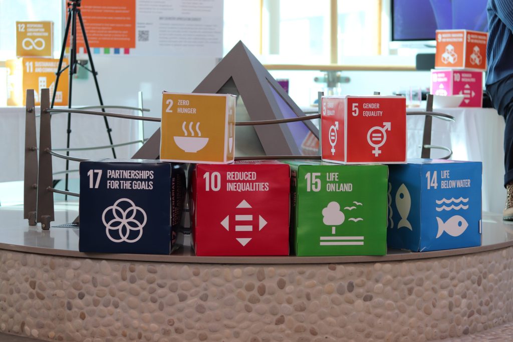 Blocks defining what some of the Sustainable Development Goals are.