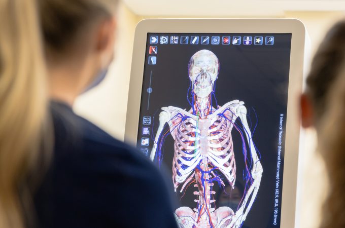 BSN students studying life board.