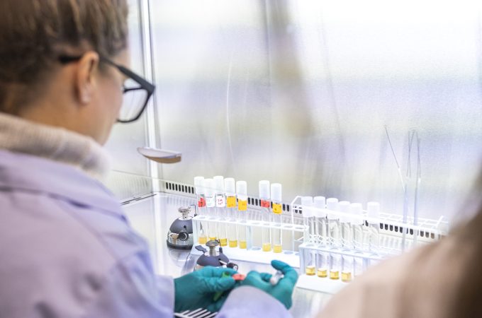 Person wearing gloves and handling beakers with a set of beakers in the background.