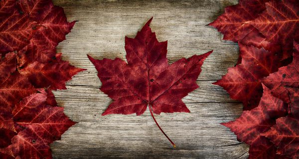 Image shows a Canadian flag made out of maple leaves.