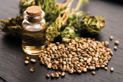 An image of dried cannabis, cannabis oil and cannabis seeds.