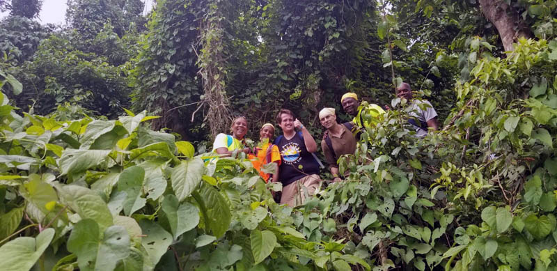 Image shows six people surrounded by lush, greenery.