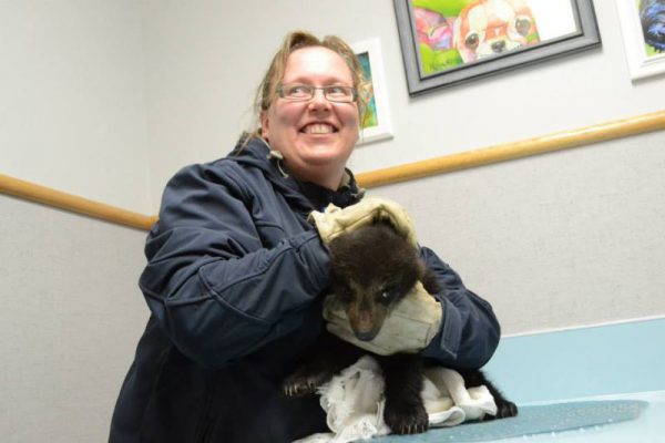 Image shows woman in thick jacket and gloves holding a bear cub.