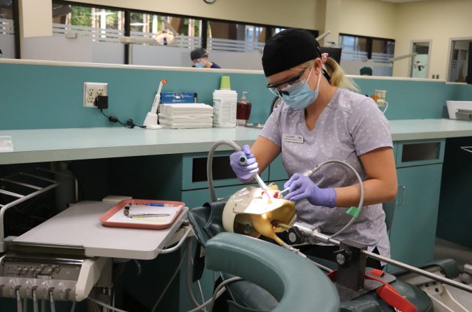 Dental student cleaning teeth on mannikin.