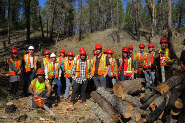 Image shows a group of individuals in high visibility vests and hard hats outside in a forested area.