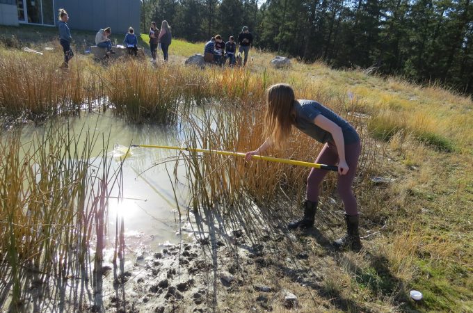 Students doing water testing in wetlands behind College of the Rockies.