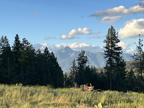 Image is of trees and mountains