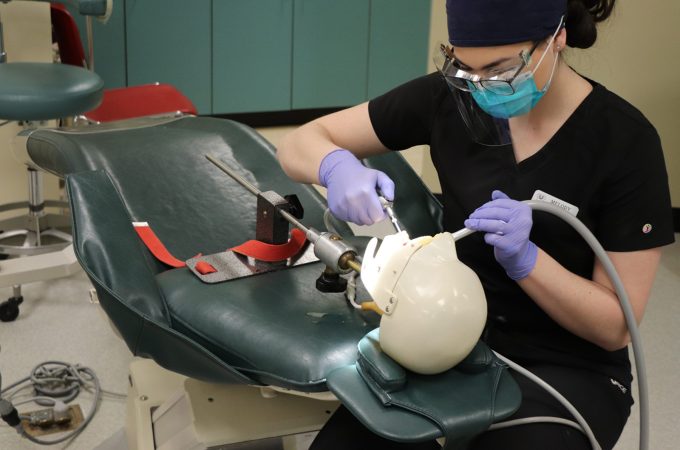 Dental student cleaning teeth on a mannequin,