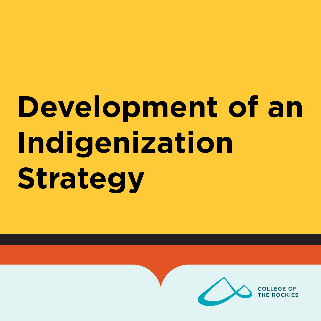 Development of an Indigenization Strategy