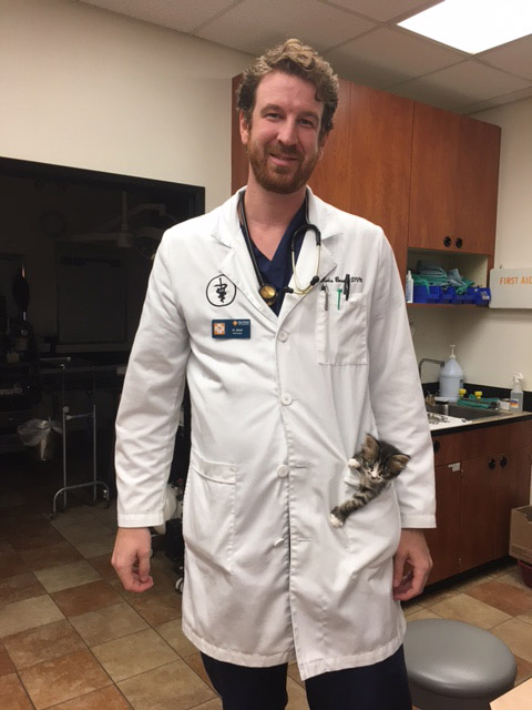 Image of man in white medical jacket with a kitten in his pocket.