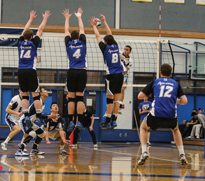 Image of two men's volleyball teams competing.