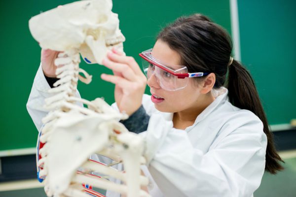 Image shows female student looking at skeletal model.