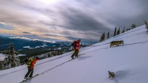 Images show two people splitboarding with a Husky on a leash