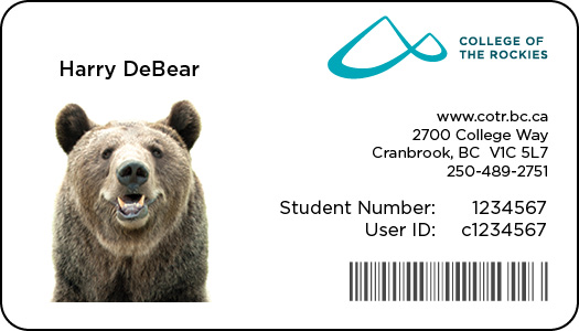 Image shows a sample College ID card.