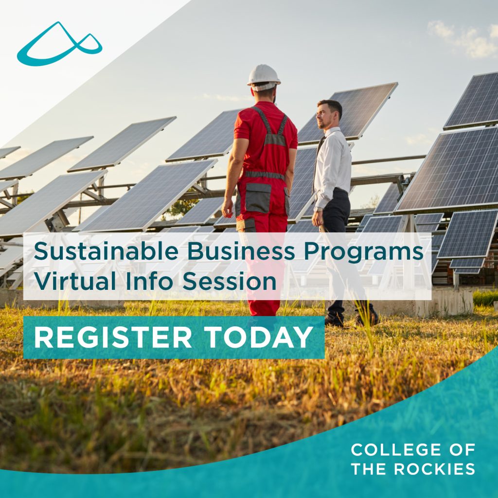 Project manager and employee standing in front of solar panel