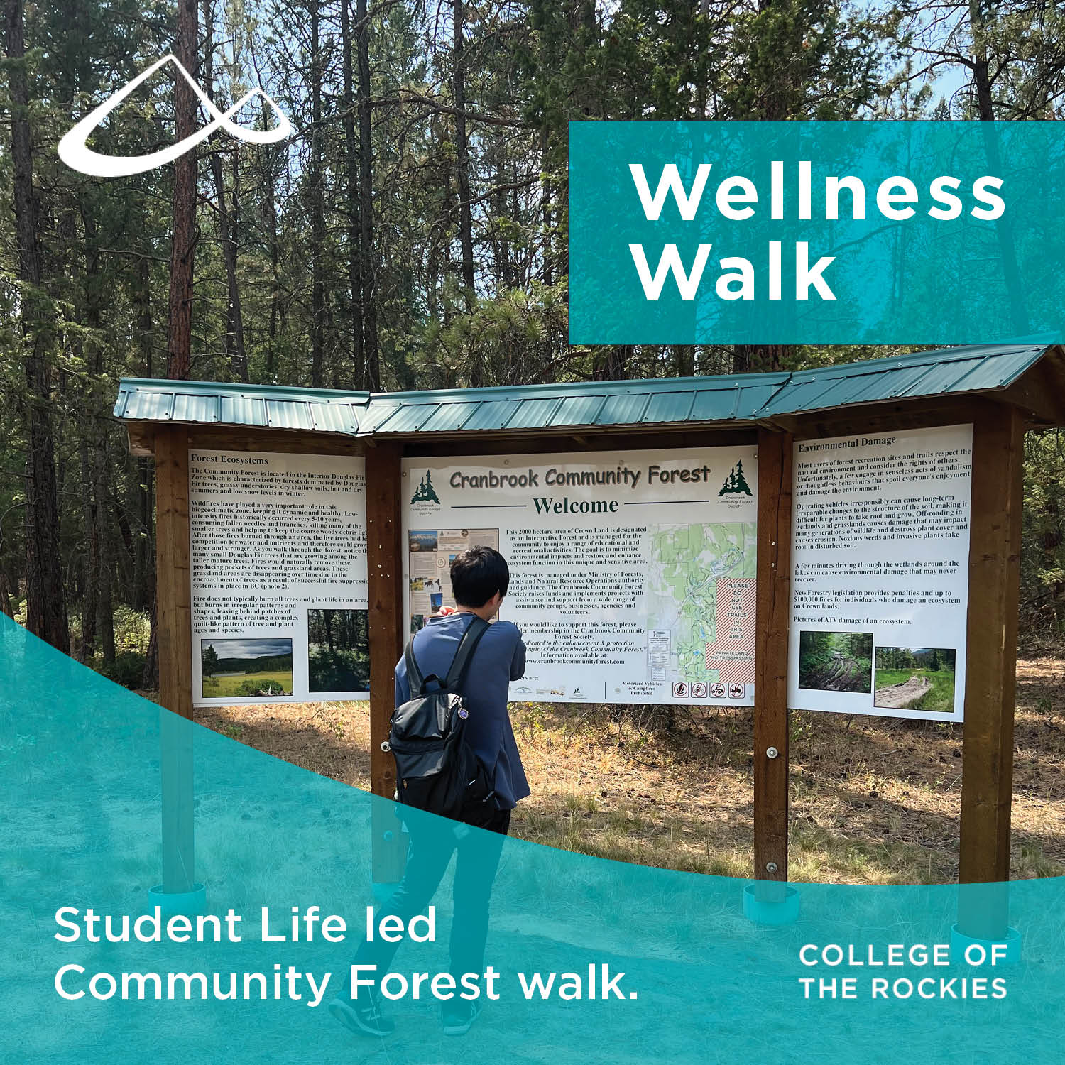 Wellness Walk. Student Life Lead Community Forest walk.