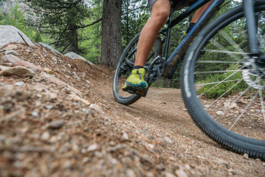 COTR’s Cranbrook Community Forest Trail Enhancement Project complete