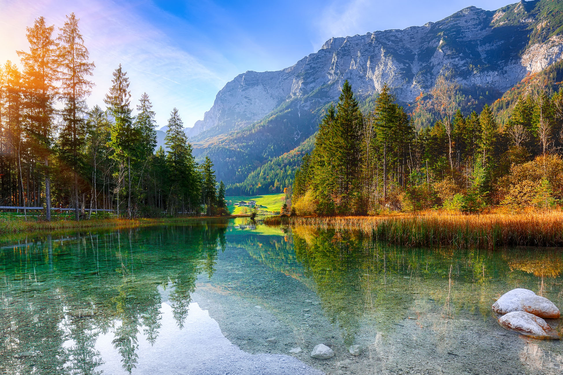 Beautiful scene of trees near turquoise water with forest and mountains in background.