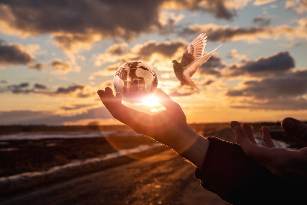 Concept of peaceful world peace. The hand supports the Globe against the backdrop of a sunset and a fly dove.