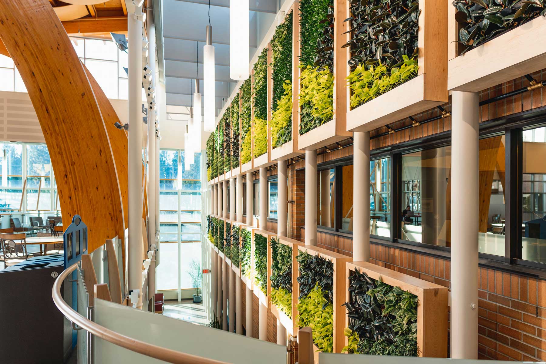 An image of the living wall inside the College of the Rockies Cranbrook campus.