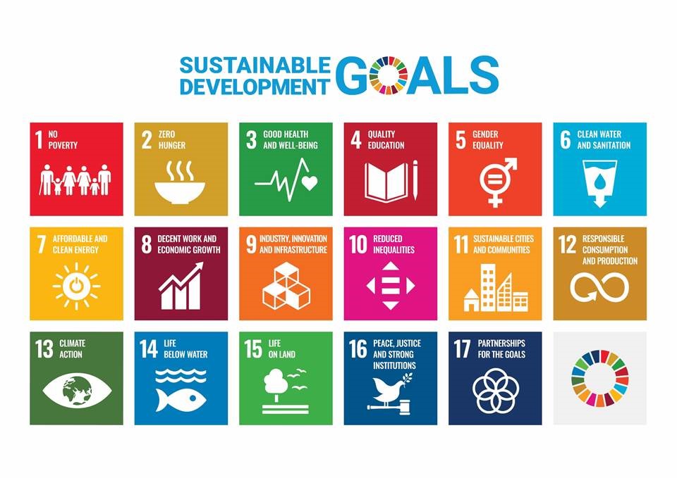 An infographic listing the sustainable development goals covered through the study abroad summer school opportunity in Denmark. 